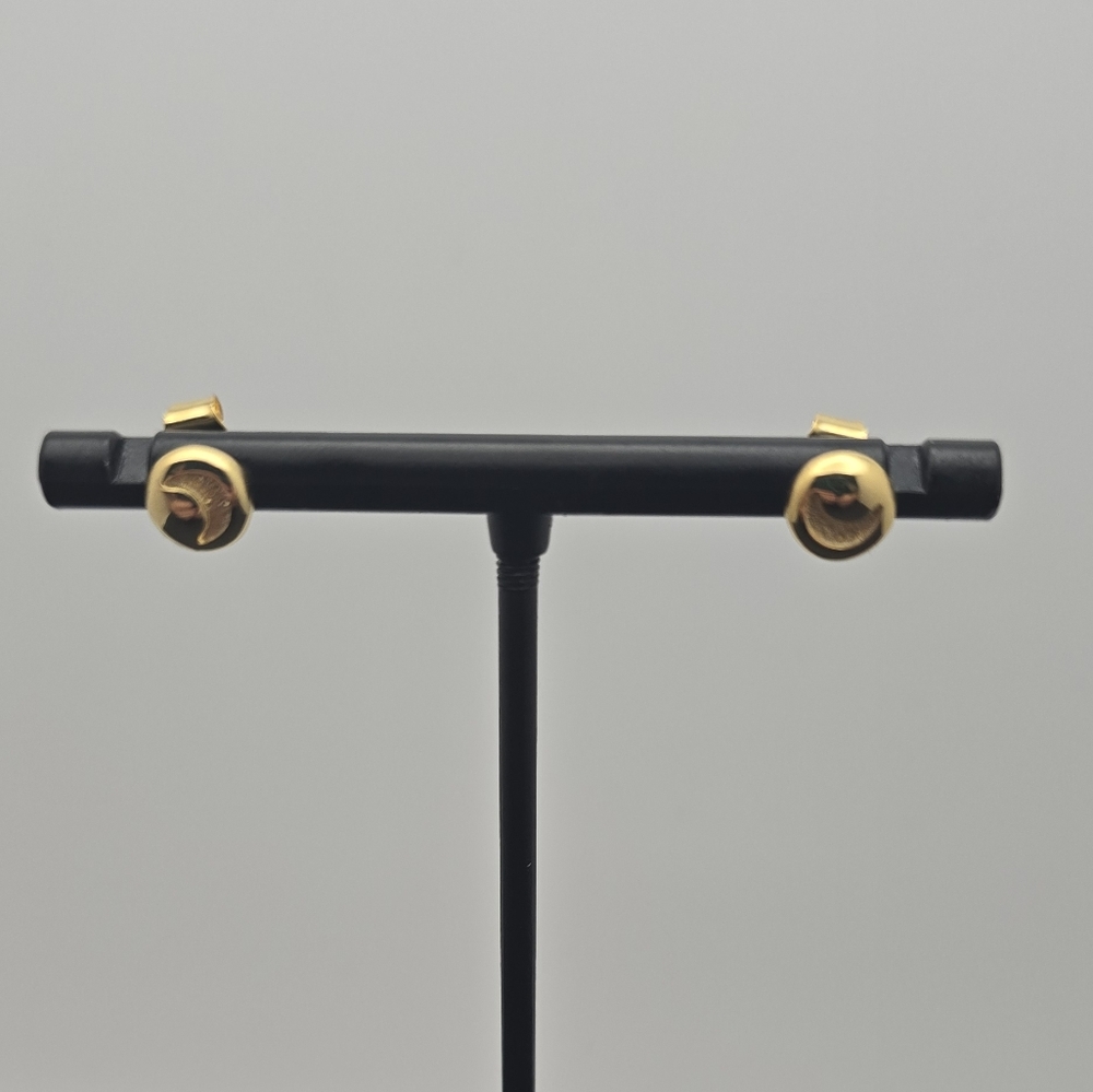 Elegant Gold  Earrings